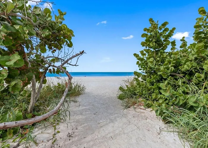 August Pet Friendly And Hot Tub A * Clearwater Beach